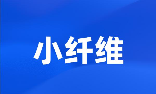 小纤维