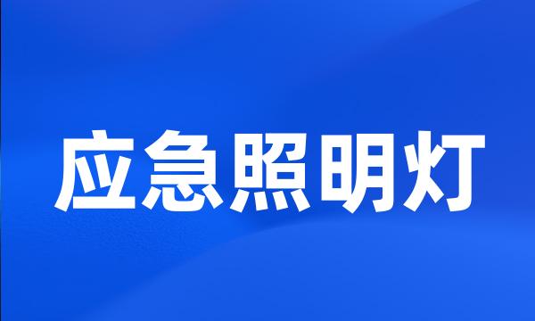 应急照明灯