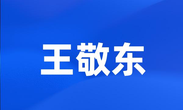 王敬东