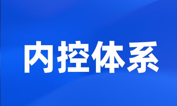 内控体系