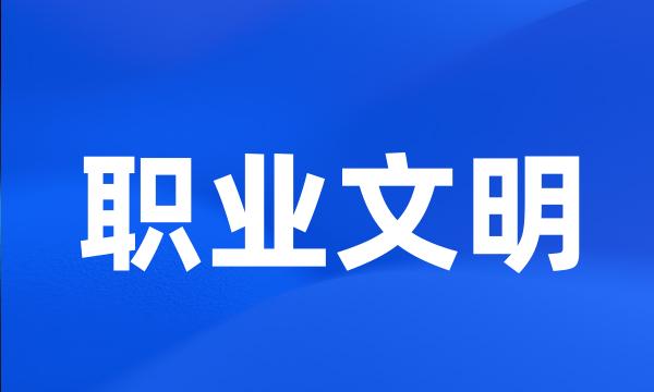 职业文明