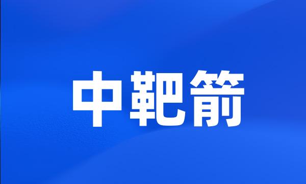 中靶箭