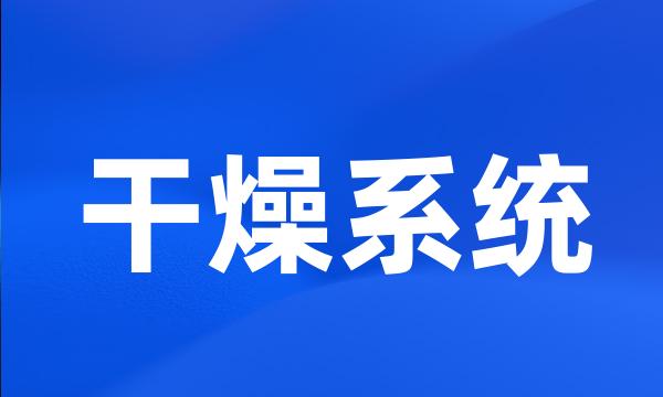 干燥系统