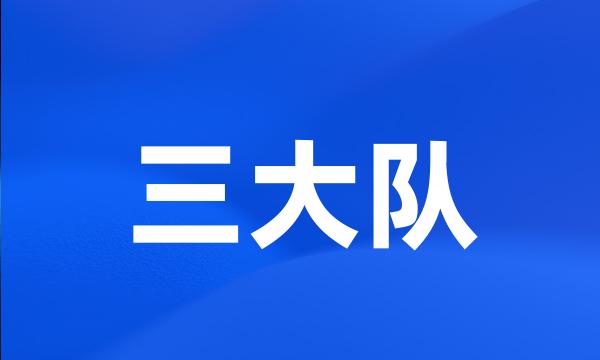 三大队