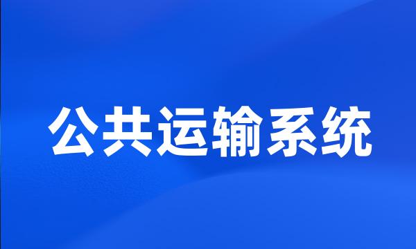 公共运输系统