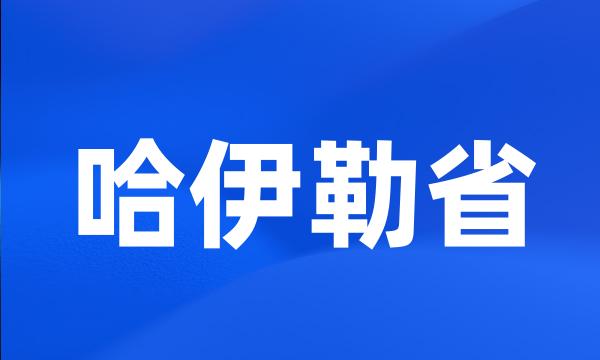 哈伊勒省