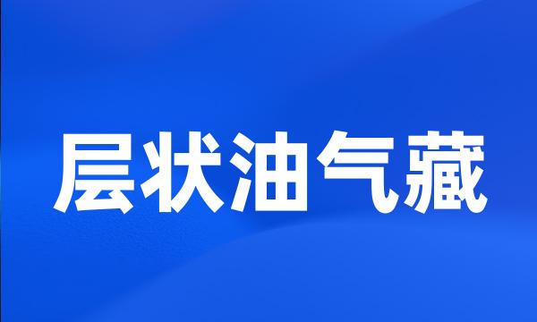 层状油气藏