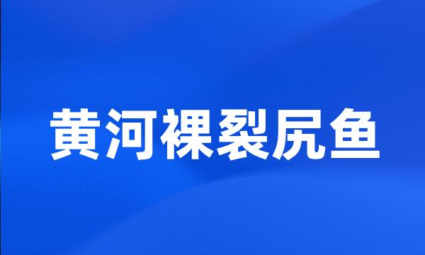 黄河裸裂尻鱼