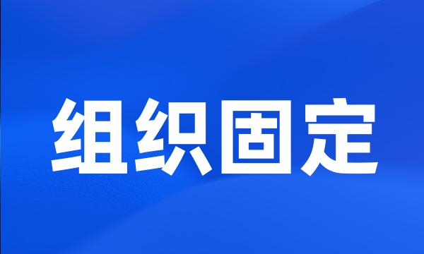 组织固定