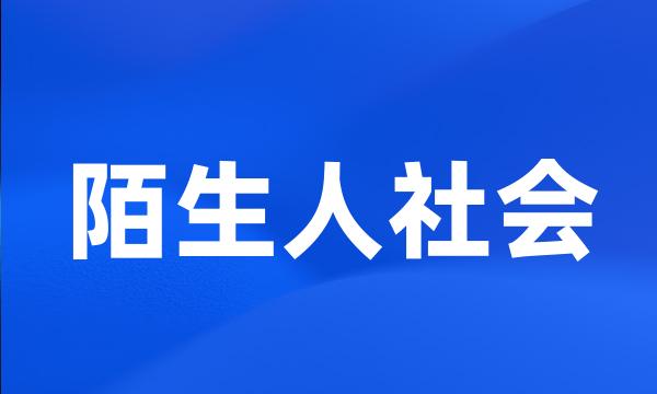 陌生人社会