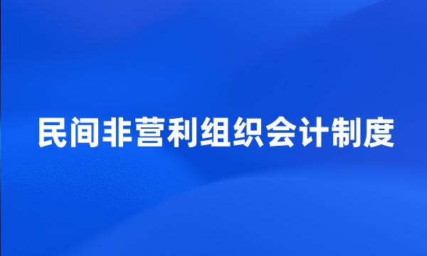 民间非营利组织会计制度