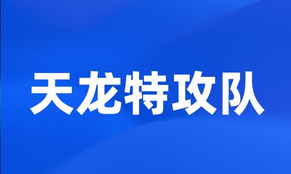 天龙特攻队