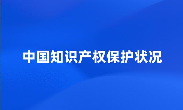 中国知识产权保护状况