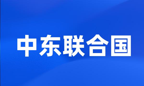 中东联合国