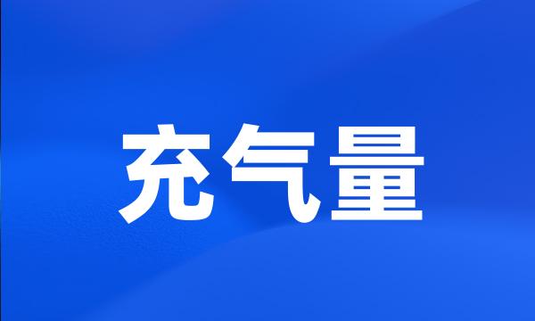 充气量