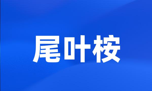 尾叶桉