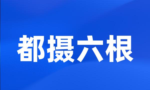 都摄六根