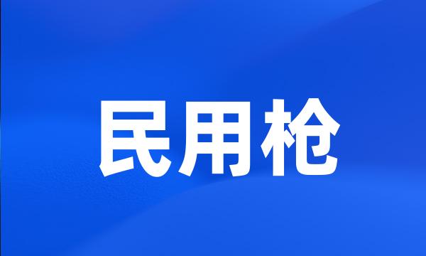 民用枪