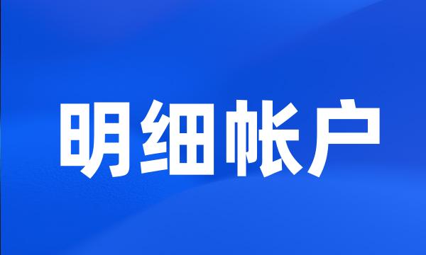 明细帐户