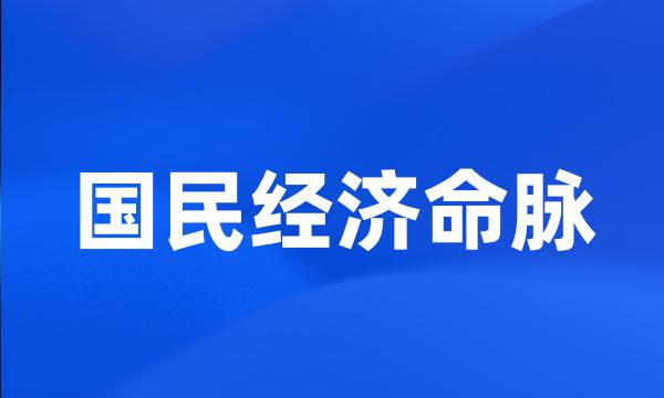 国民经济命脉