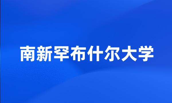 南新罕布什尔大学