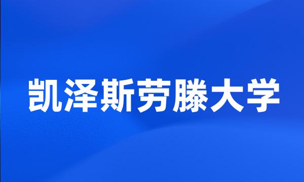 凯泽斯劳滕大学