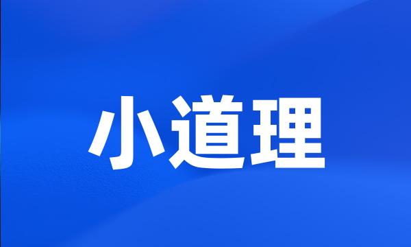 小道理