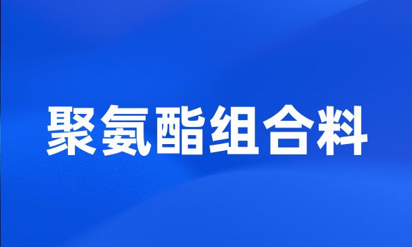 聚氨酯组合料