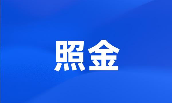 照金