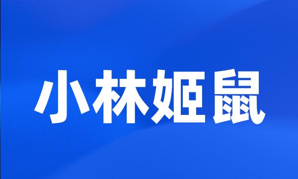 小林姬鼠