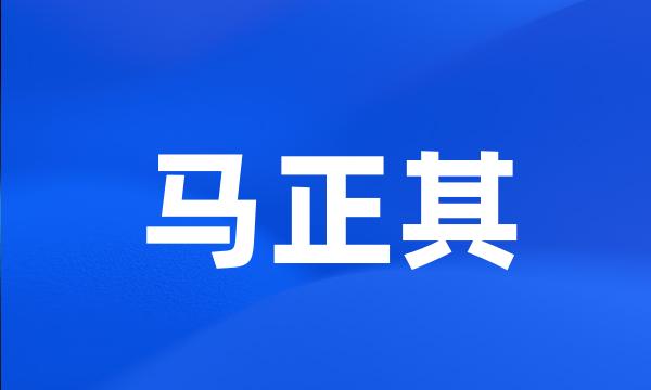 马正其