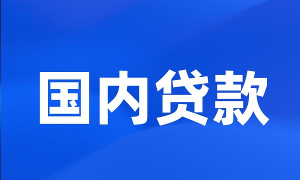 国内贷款