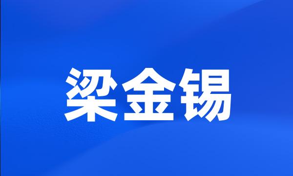 梁金锡