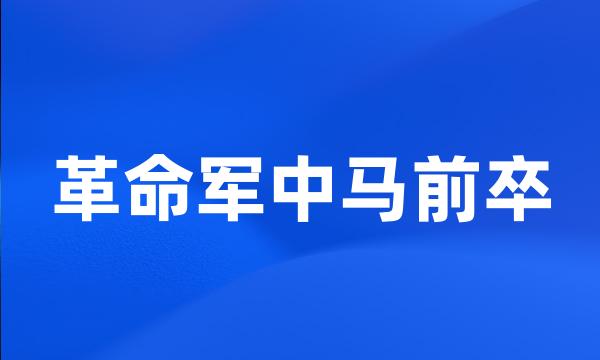 革命军中马前卒