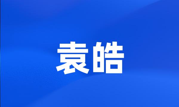 袁皓