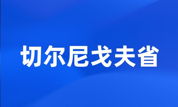 切尔尼戈夫省