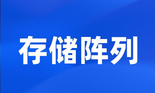 存储阵列