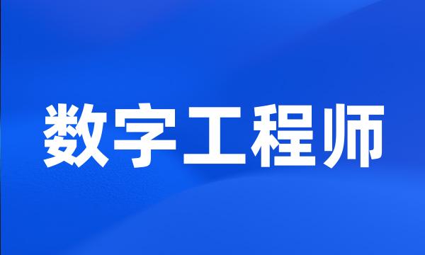 数字工程师