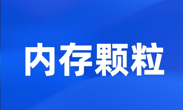 内存颗粒