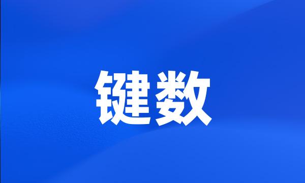 键数