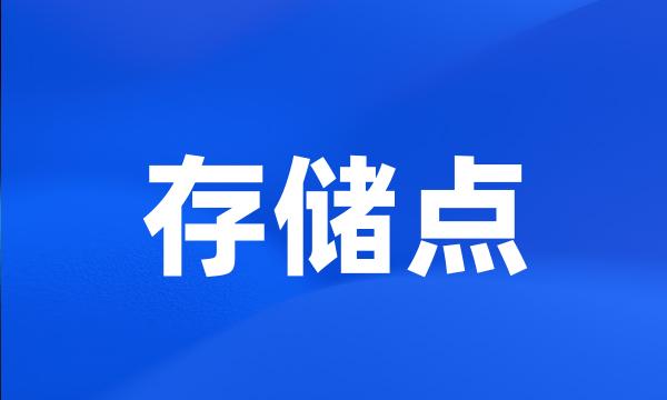 存储点