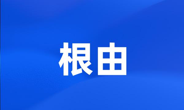 根由