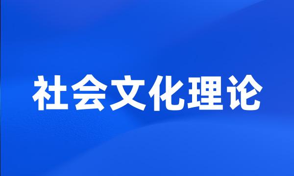 社会文化理论