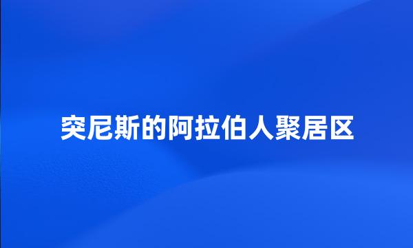 突尼斯的阿拉伯人聚居区