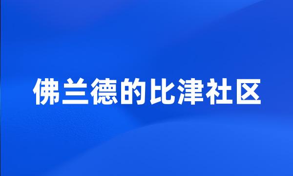 佛兰德的比津社区