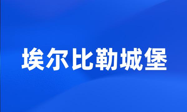 埃尔比勒城堡