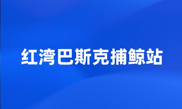 红湾巴斯克捕鲸站