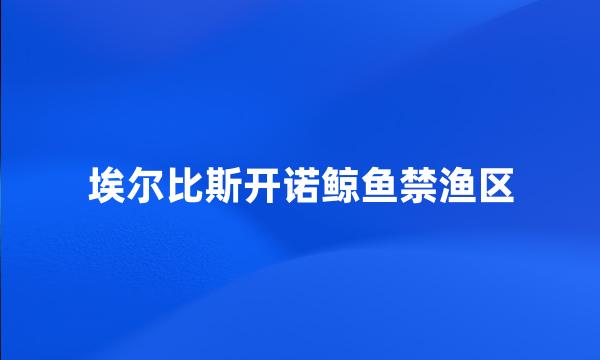 埃尔比斯开诺鲸鱼禁渔区