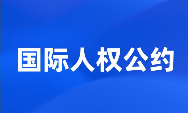 国际人权公约