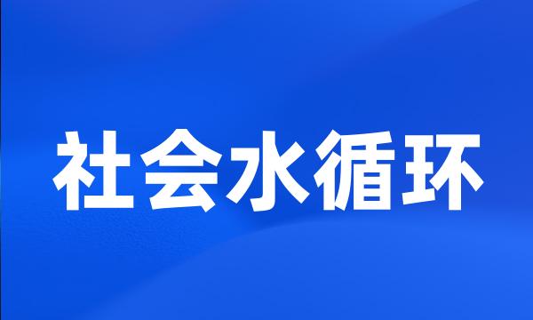 社会水循环